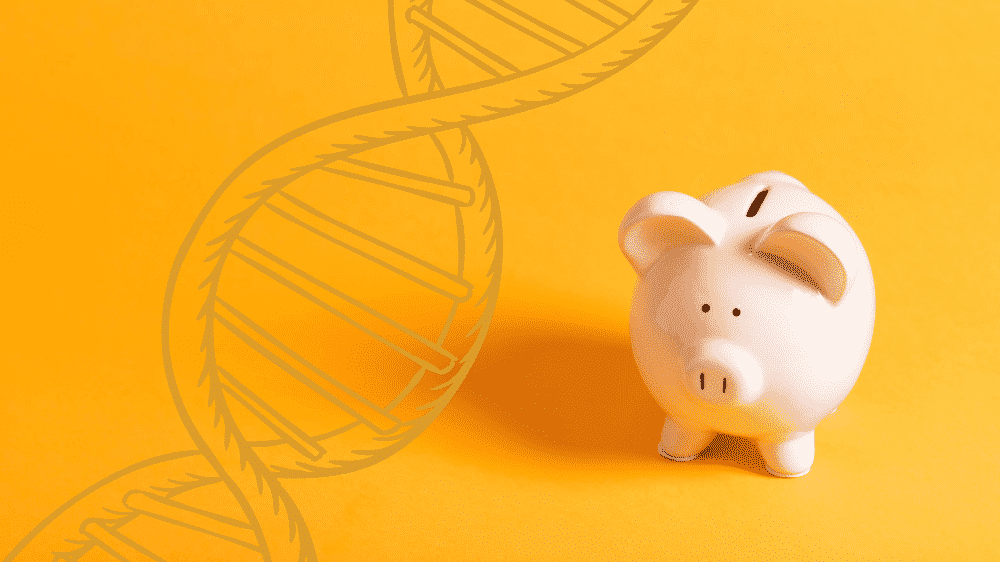 blog-how-much-does-a-dna-test-cost-1786964377.png