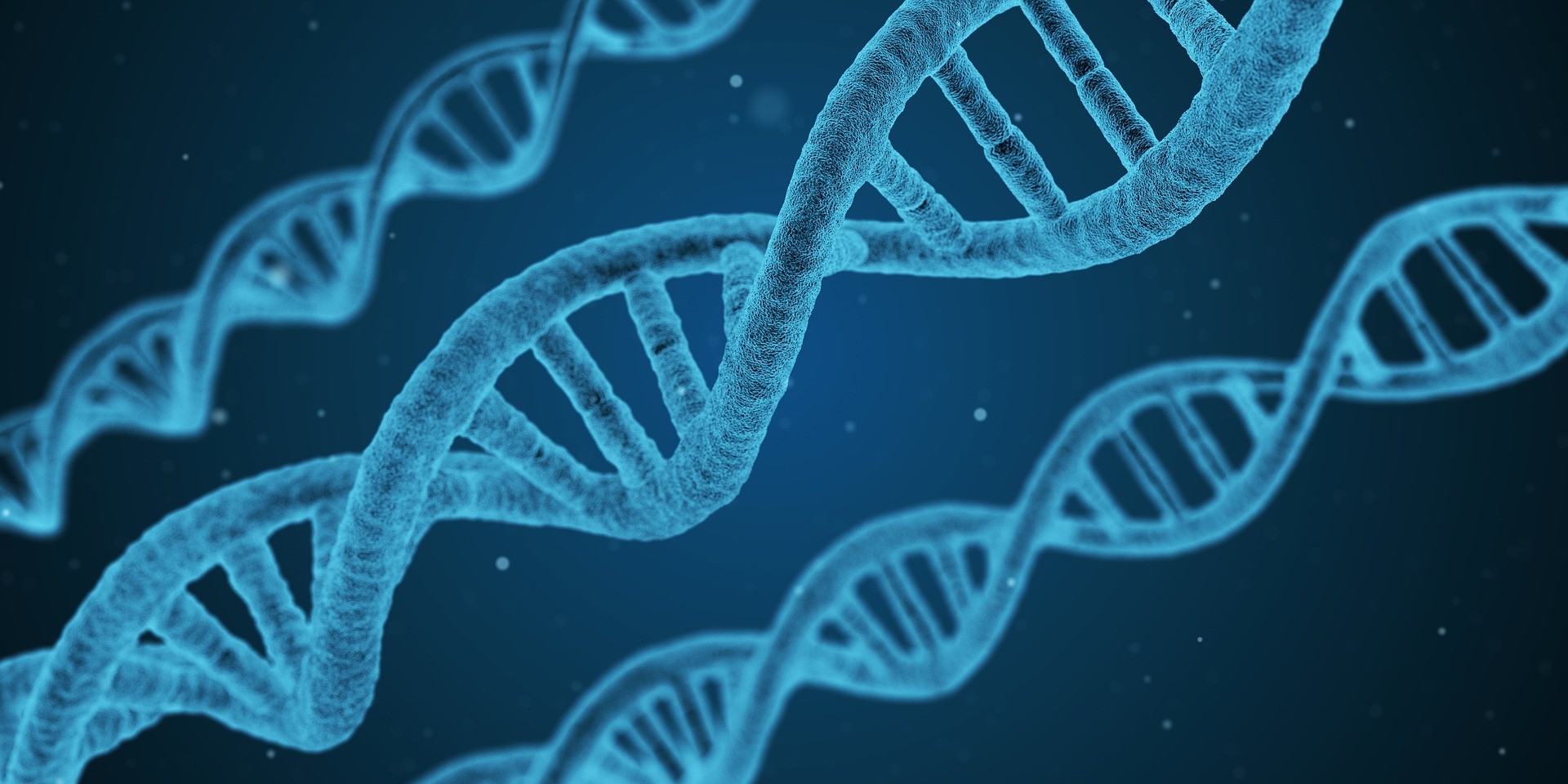 dna-1811955-1920-1786964377.jpg