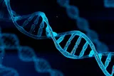Thủ tục xét nghiệm ADN làm giấy khai sinh như thế nào? 