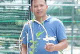 Đỗ Đức Nghĩa và bí quyết thành công về hoa lan đột biến