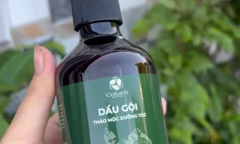 “Chữa lành mái tóc từ gốc: Giải pháp thảo mộc đang được người Việt tin chọn”