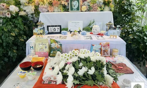 Dịch vụ hoả táng thú cưng chuyên nghiệp tại Hà Nội