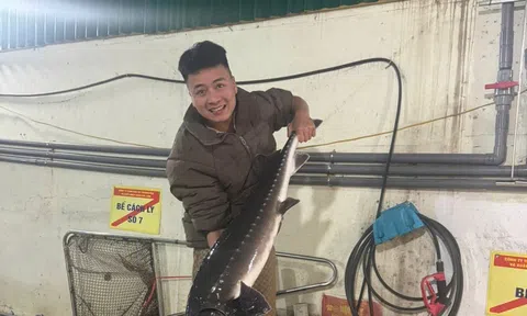 Chàng trai Gen Z Cao Văn Cương: Chọn chữ tín làm nền tảng đưa cá hồi Sa Pa tươi ngon đến mâm cơm người Việt