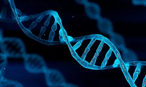 Thủ tục xét nghiệm ADN làm giấy khai sinh như thế nào? 