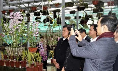 Bộ Nông nghiệp và Phát triển Nông thôn khảo sát mô hình trồng cây dược liệu và hoa lan tại Lai Châu