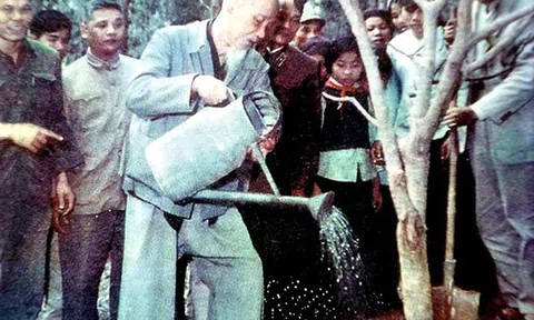 Chủ tịch Hồ Chí Minh với sự nghiệp Trồng cây và Trồng người