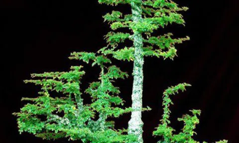 Ngỡ ngàng trước vẻ đẹp của tác phẩm Cần Thăng Lộc Đại Phát