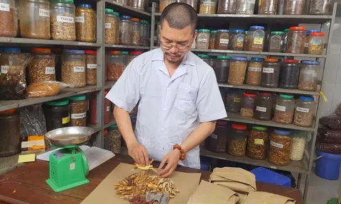 Thạc sĩ, lương y Phạm Đức Tuấn và Đông y gia truyền Athena: Hành trình tâm truyền y đạo và dấu ấn “Thầy thuốc tiêu biểu toàn quốc”