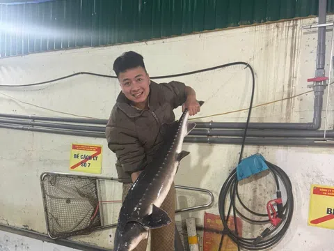 Chàng trai Gen Z Cao Văn Cương: Chọn chữ tín làm nền tảng đưa cá hồi Sa Pa tươi ngon đến mâm cơm người Việt