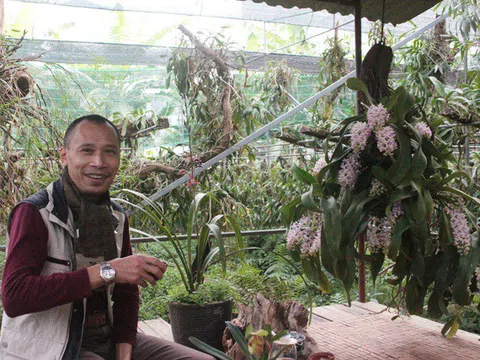 vườn lan bạc tỷ đẹp hiếm có của đại gia Hà thành Vua lan Trần Tuấn Anh