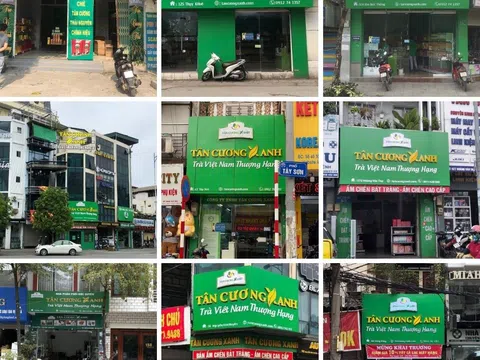 Trà Thái Nguyên ướp hoa Tân Cương Xanh