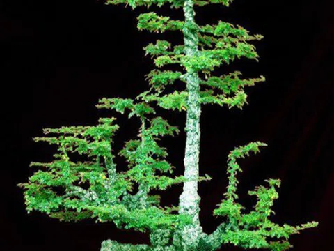 Ngỡ ngàng trước vẻ đẹp của tác phẩm Cần Thăng Lộc Đại Phát