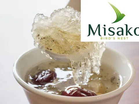 Những người bị béo phì có nên ăn yến sào không?