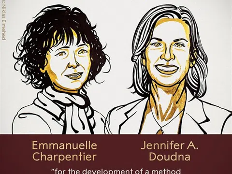 Hai nhà khoa học nữ nhận giải Nobel Hóa học 2020