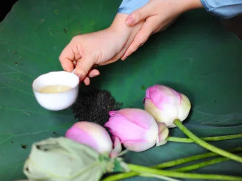 Trà sen xổi Hà Nội - nét văn hóa kết nối quá khứ và hiện tại