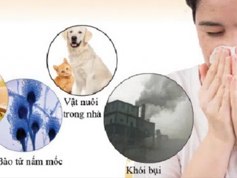 Cách phòng viêm mũi dị ứng tái diễn