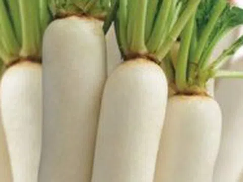 Vị thuốc quý khi trời giá rét