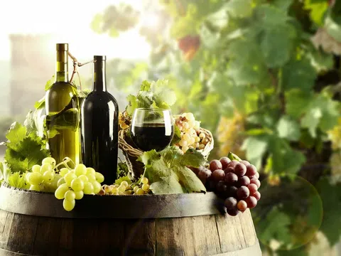 Rượu vang Ý - những điều thú vị mà bạn không thể bỏ qua