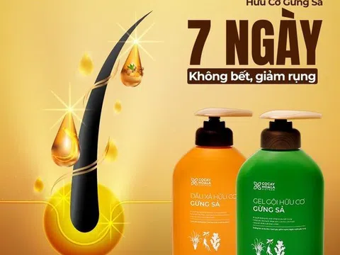 Bộ đôi gel gội xả hữu cơ Gừng Sả - Lựa chọn hàng đầu cho các chị em tóc bết, rụng
