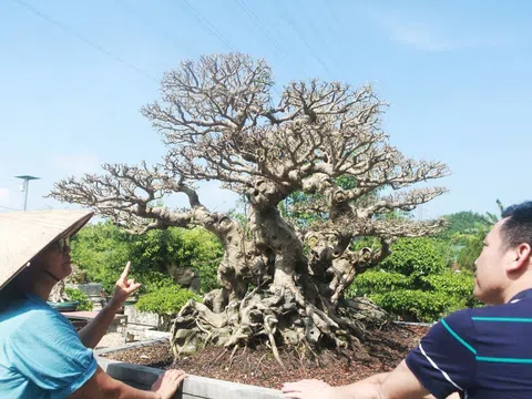 Xuất lộ tác phẩm Sanh cổ Song Long Toạ Thạch