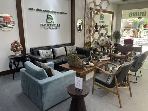 Những dấu ấn nổi bật của thương hiệu Nội thất Sofa D&D: Sự phát triển và thành công trong thị trường hiện nay