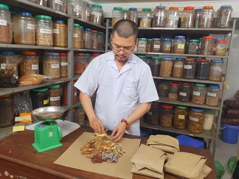 Thạc sĩ, lương y Phạm Đức Tuấn và Đông y gia truyền Athena: Hành trình tâm truyền y đạo và dấu ấn “Thầy thuốc tiêu biểu toàn quốc”