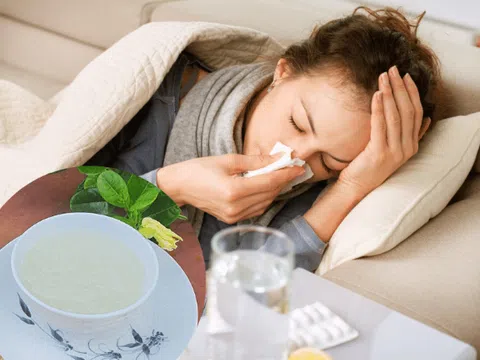 Mách nhỏ các món ăn cho người bệnh siêu ngon từ tổ yến