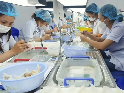 Con đường mang tới sức khoẻ cho mọi nhà của công ty TNHH Đầu tư và Thương mại Dịch vụ Vinlegend
