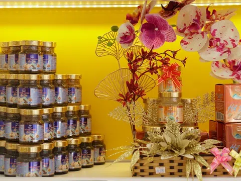 Mối lương duyên với yến sào và hành trình đảo ngược cuộc sống