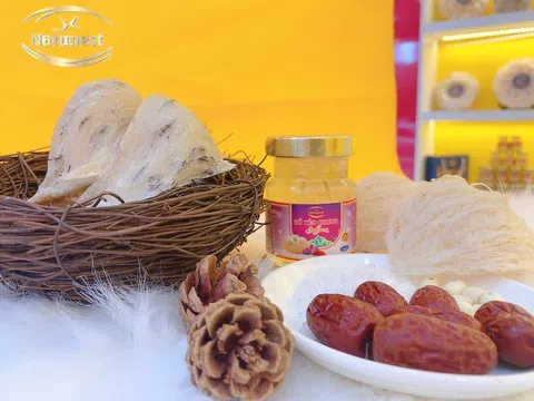 Đừng mua yến sào nếu bạn chưa đọc bài viết này