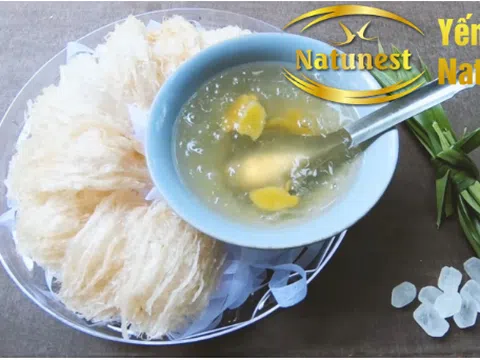 Top 5 cách chưng yến sào tươi cơ bản ngay tại nhà