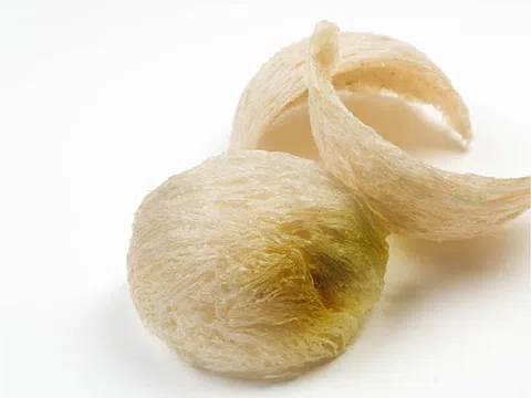 Tổ yến bị mốc thì phải làm sao? Cách xử lý tổ yến mốc đơn giản