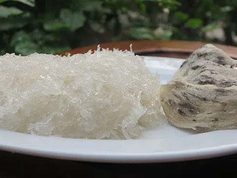 Ngâm tổ yến trong bao lâu là chuẩn? Bằng nước nóng hay nước lạnh tốt hơn?
