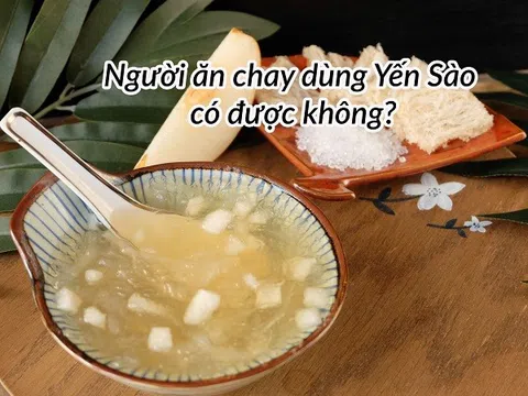 Ăn chay có ăn Tổ Yến Sào được không? Vì sao người ăn chay nên ăn Yến Sào?