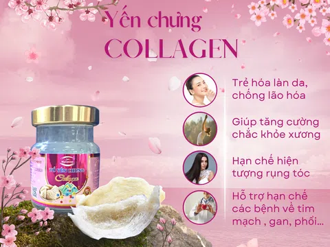 Yến chưng collagen duy trì sức khoẻ và sắc đẹp phái nữ