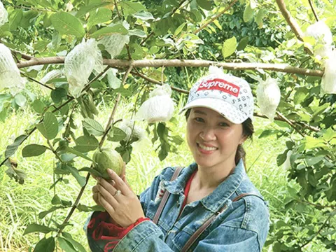 Đến với xứ Gò Quao