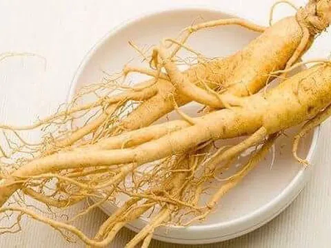 Món ăn bài thuốc chống lão hóa kéo dài tuổi thọ