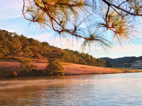 Check-in đồi cỏ hồng Đà Lạt ngày chớm đông