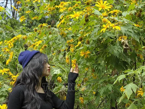 Du lịch Thủ đô nhanh chóng nắm bắt cơ hội từ khách nội địa