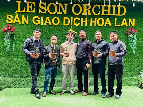 Nghệ nhân Nguyễn Phương Hồng, chủ Vườn Lan Lê Sơn (Hòa Bình) đam mê cháy bỏng với hoa lan